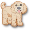 «Colgante para zapatos Puppy Jibbitz™ Golden Doodle»