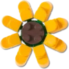Colgantes Jibbitz™ de girasol de Lego® Colgantes Jibbitz™ de girasol de Lego®