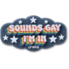 Colgantes Jibbitz «Sounds Gay Im In»